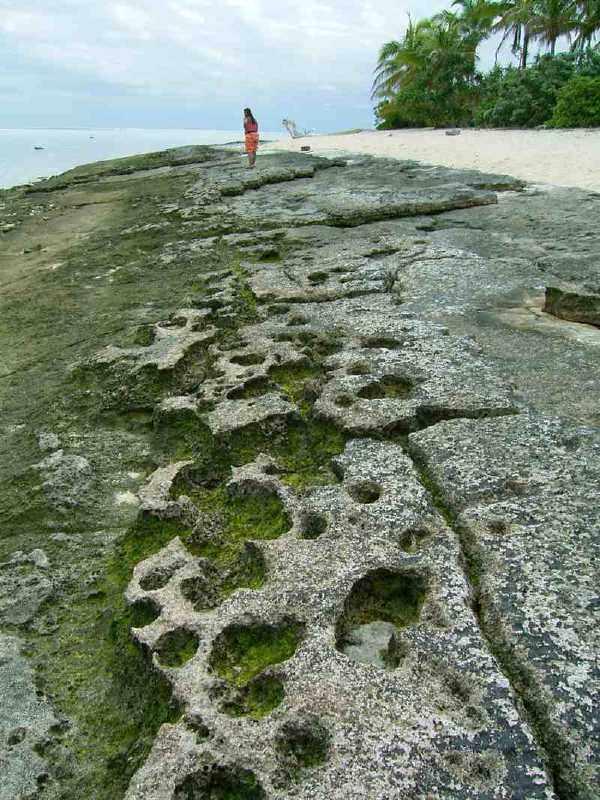 Fotky: Vanuatu (foto, obrazky)