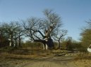 Fotky: Senegal (foto, obrazky)