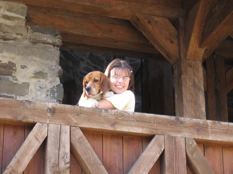 Foto: Dingo z Kun�i�ek-M�j Dingou�a j�