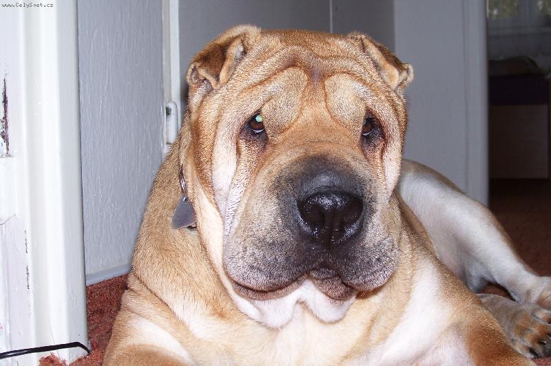 Foto: na�e Jennynka