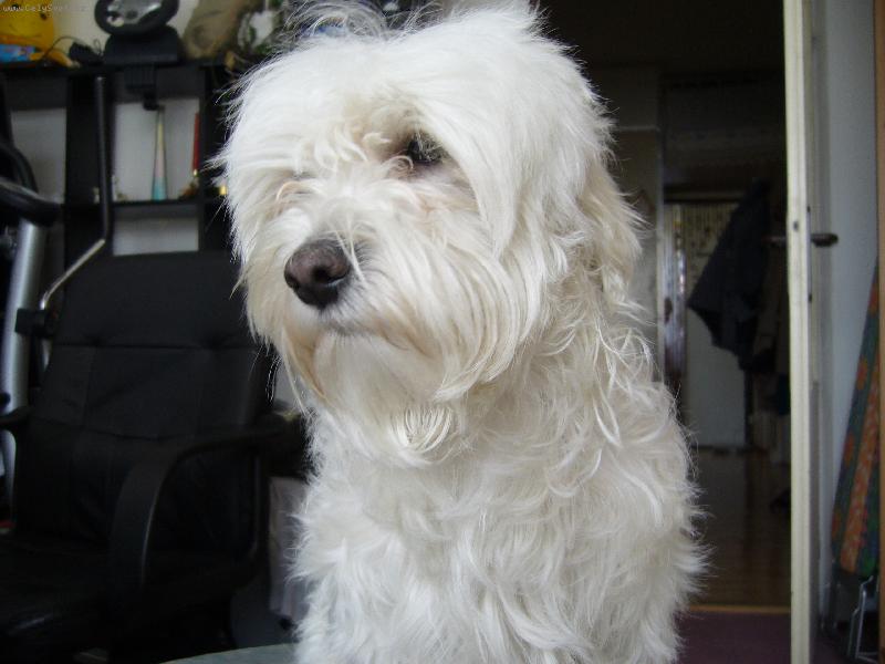 Foto: badyko-na stole 2