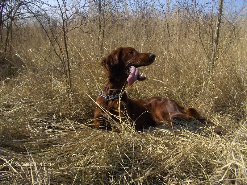 Foto: Jarn� pohodi�ka-Nora