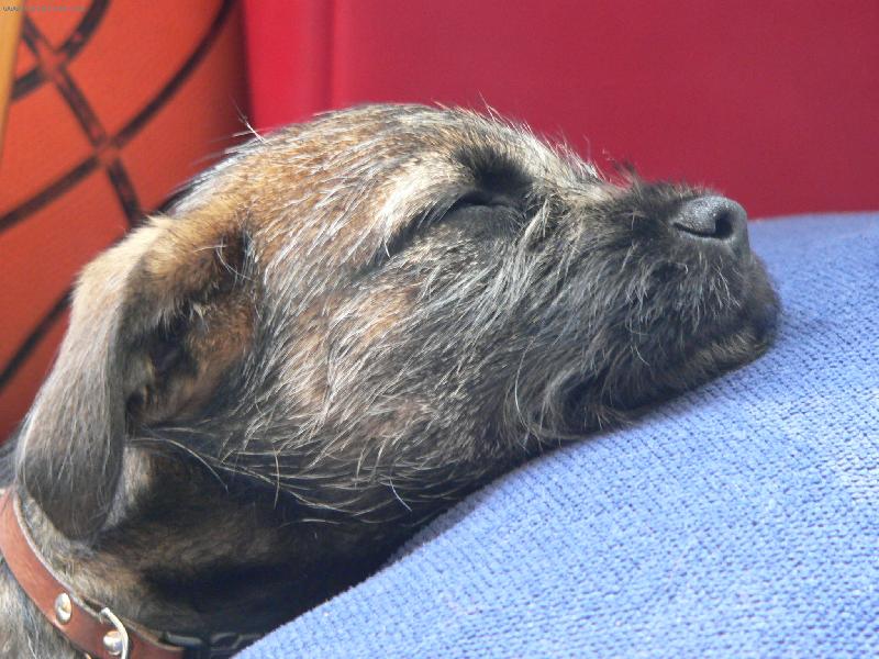 Foto: P��a-3 m�s��n� Bord�k