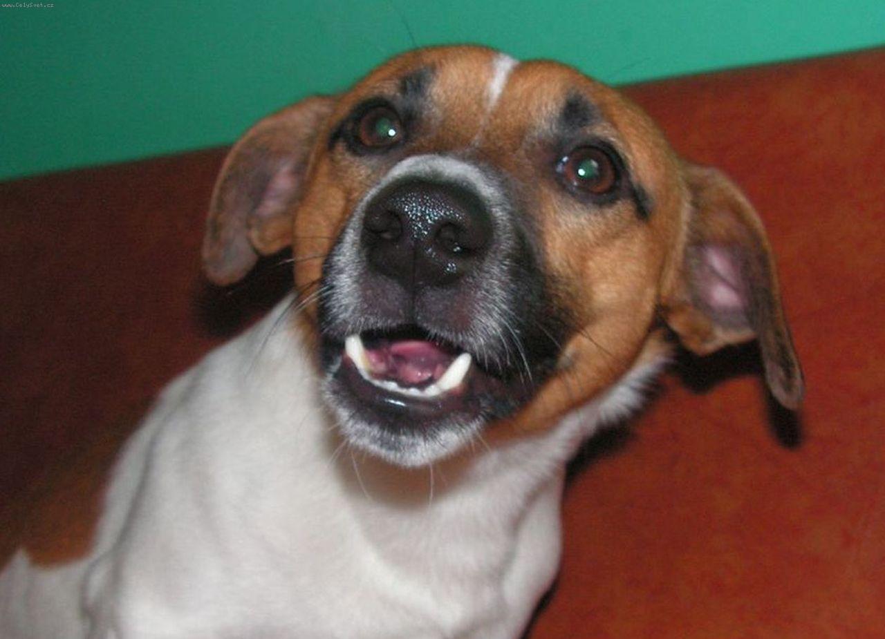 Foto: Happy-ksicht�k