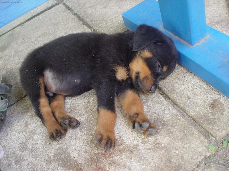 Foto: Je�t� pr�ous-Po skota�en� - odpo�inek