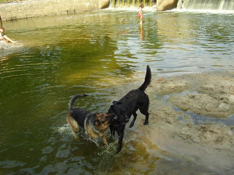 Foto: ,,man�elsk�,,h�dka