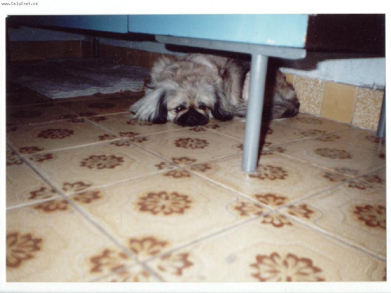 Foto: Nela-M�j �kryt