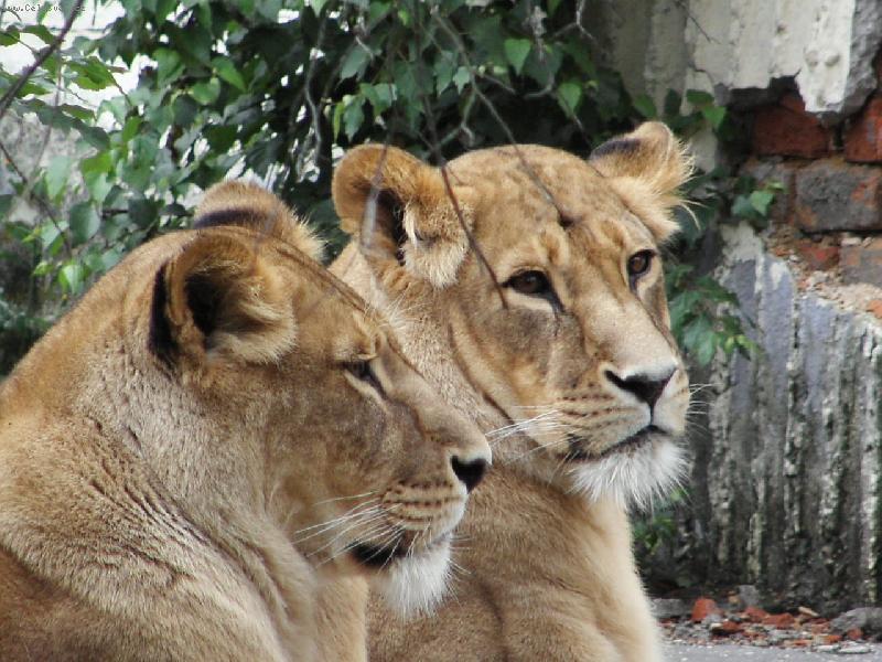 Foto: ohodno�te pros�m!!