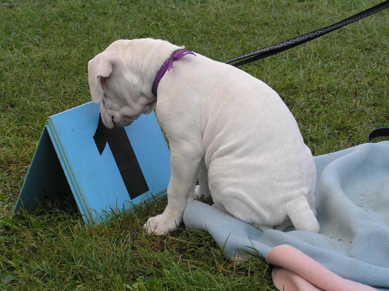 Foto: vystava-NVP Brno 2006