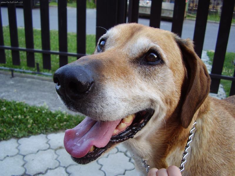 Foto: �t�st�...