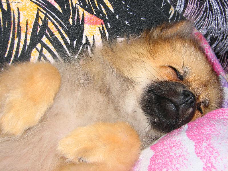 Foto: Cindy-Neru�it!