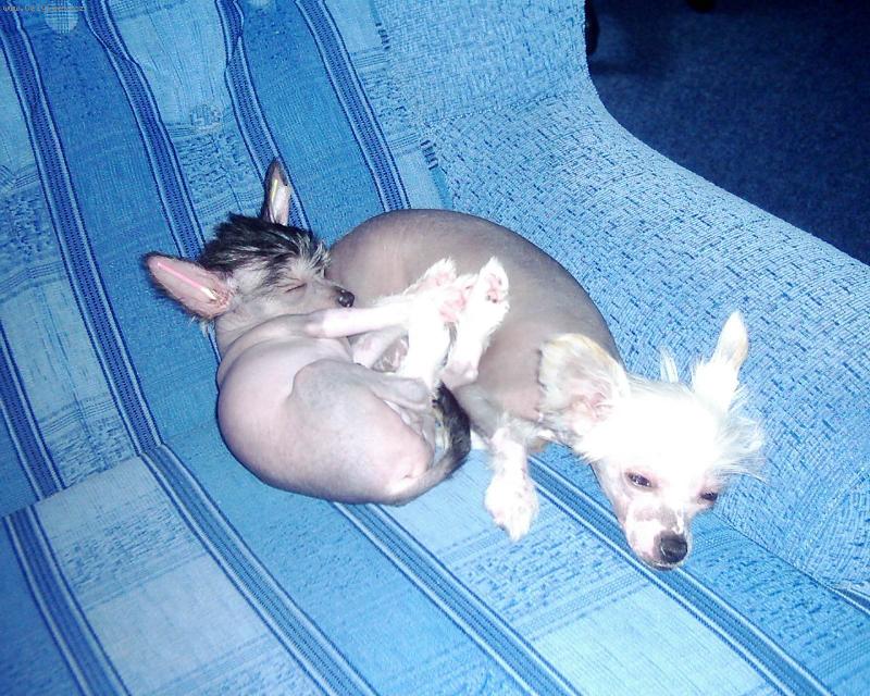 Foto: spokojen� �ivot