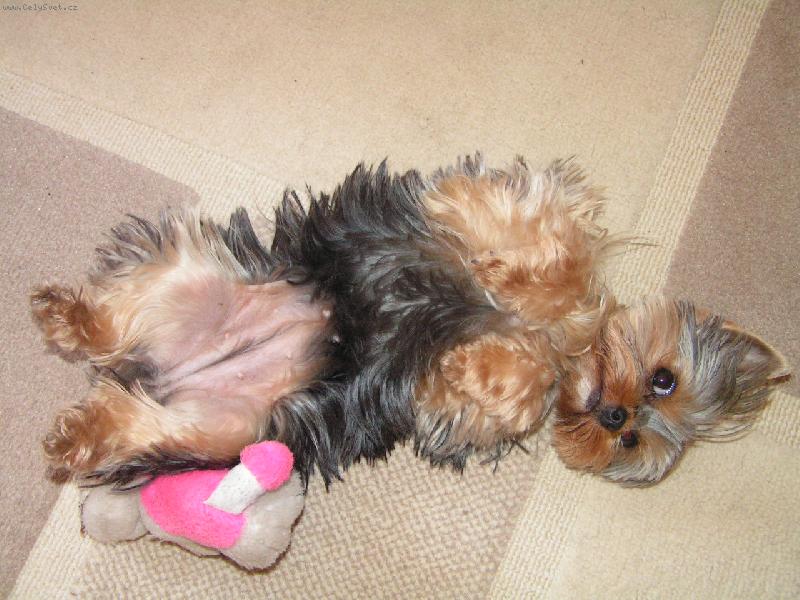 Foto: Jessinka-R�da se v�l�m