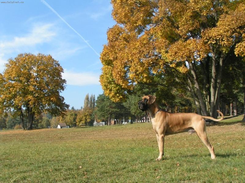 Foto: Podzim-jenom tak kouk�m