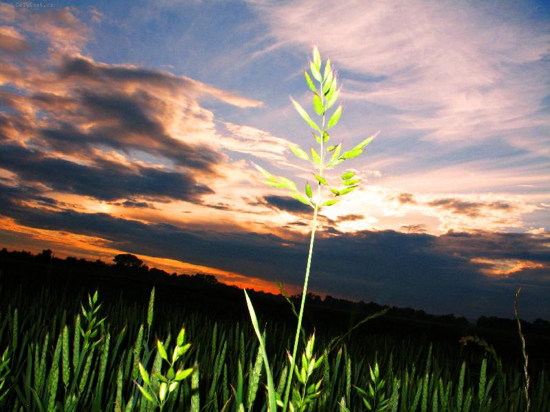 Foto: klas-z�pad slunce