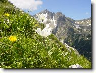 Tatry