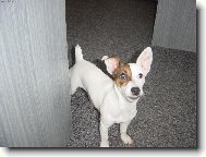 JRT