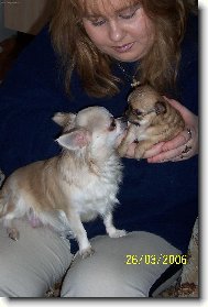 Zuzanka se sv�m mim�em