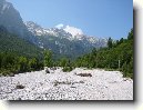 Kostren I Vogel - Kostren I Vogl