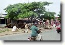 Abakouande - Abakouand