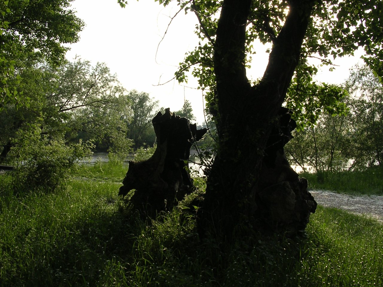 Foto: Cestovani