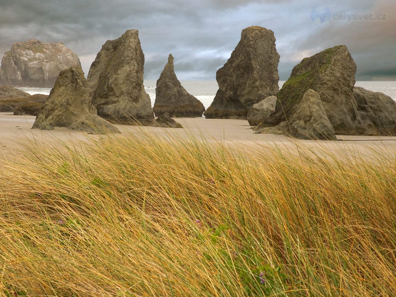 Foto: Dune Grass And Seastacks, Bandon, Oregon