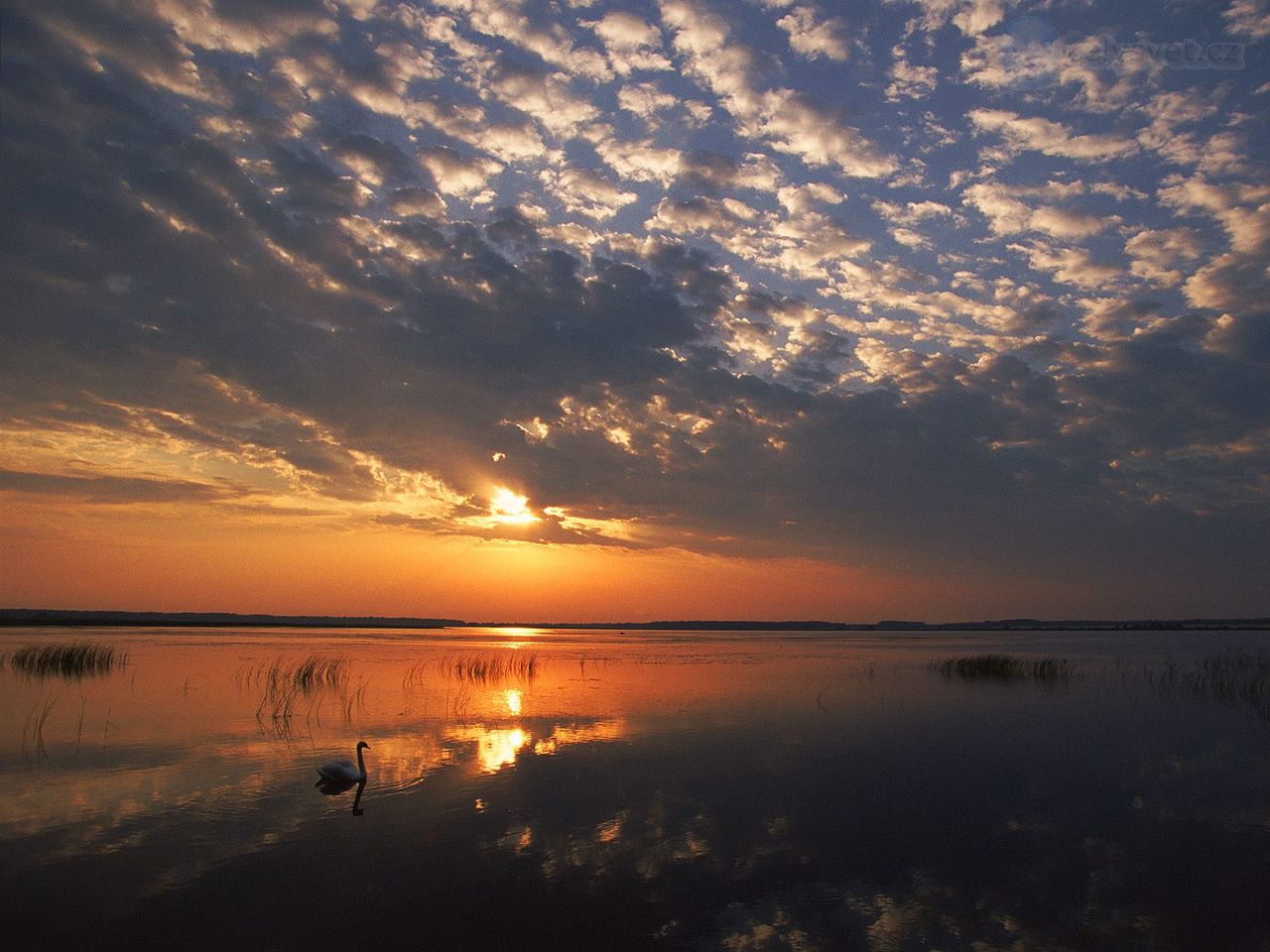 Foto: Poleski National Park, Poland