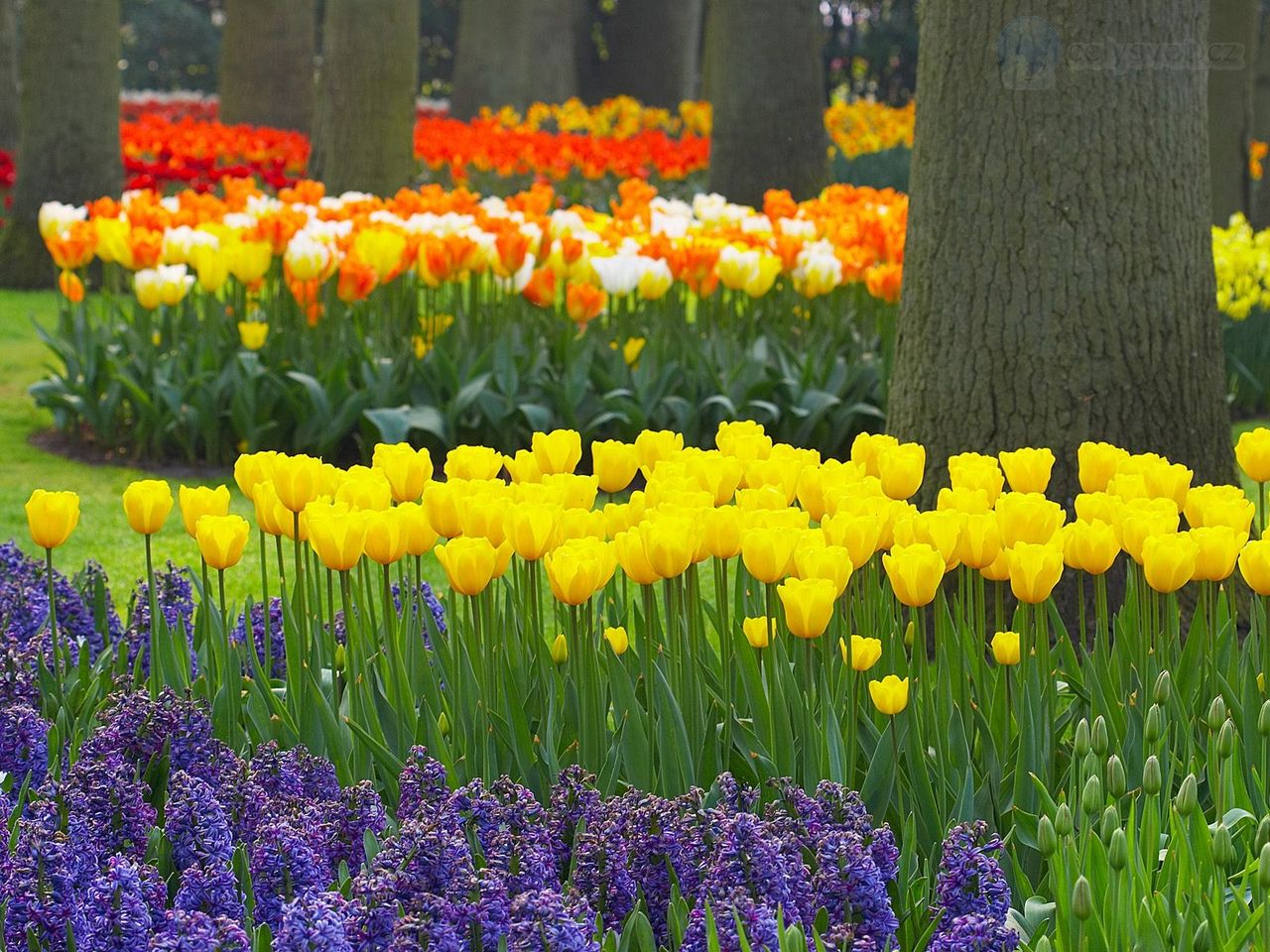 Foto: Spring Garden, Keukenhof Gardens, Lisse, Holland