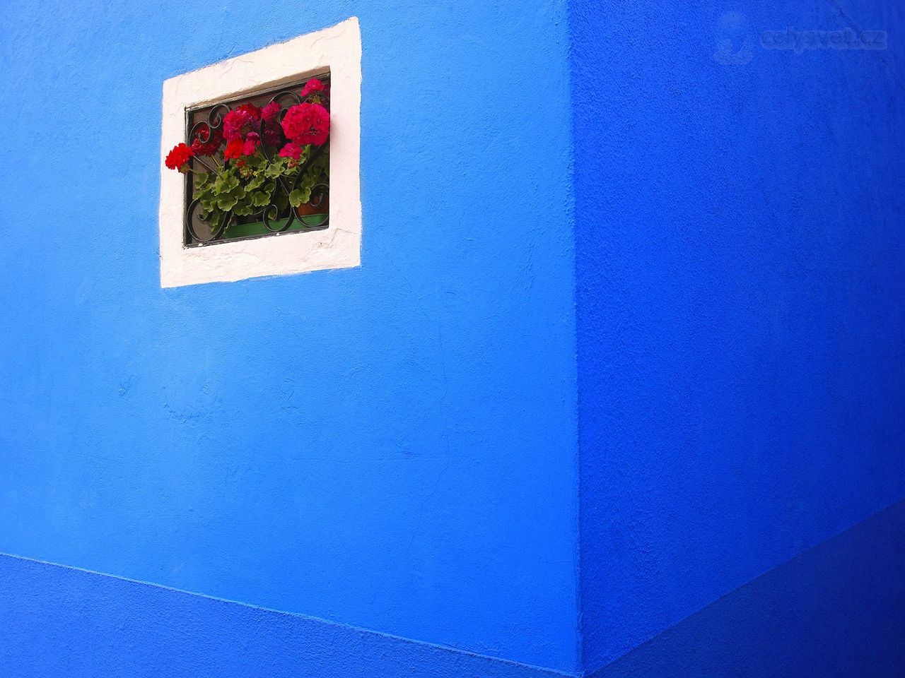 Foto: Flower Box, Burano, Italy