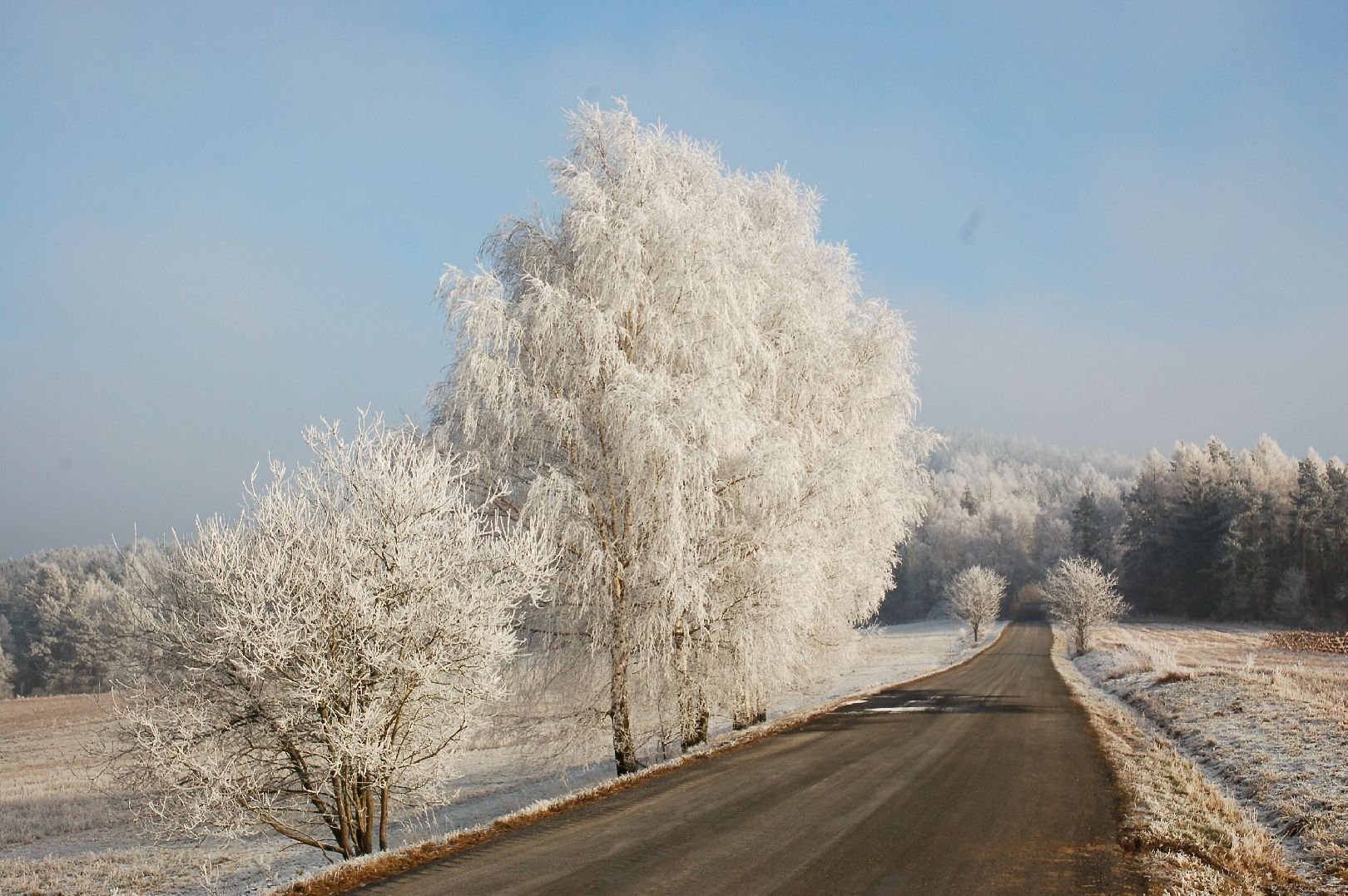 Foto: Zimn� cesta