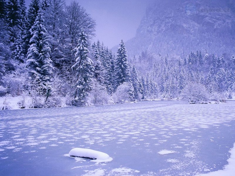 Foto: Frozen Lake, Schnolzersee, Bavaria, Germany