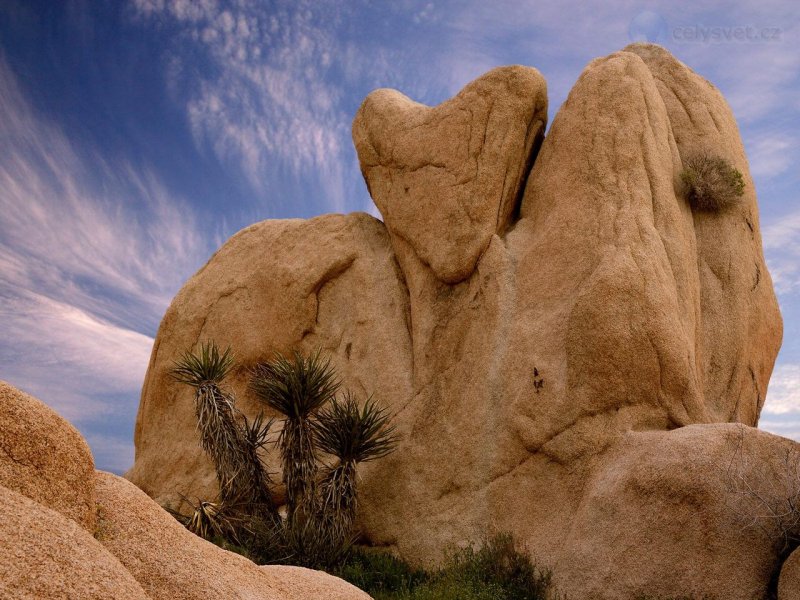 Foto: Heart Shaped Rock, Joshua Tree National Park, California