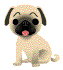 V�ce smajl�k� ke sta�en�