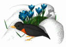 V�ce smajl�k� ke sta�en�