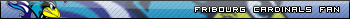 Vce userbar ke staen